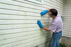 Best Custom Siding Design  in Armada, MI